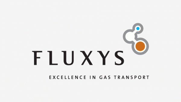 Fluxys Corporate Identity Logo