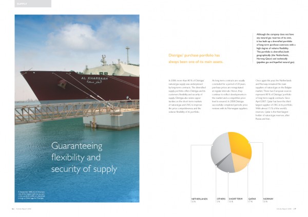 Eni Distrigas Activity Report 2008 Supply